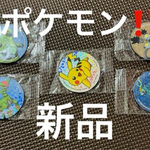 ポケモン!新品未開封!マグネット!5点セット!激レア!お買い得!激安!ピカチュウ!おススメ!