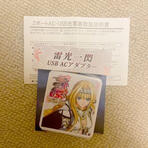 戦国乙女 ヨシテル USB ACアダプター