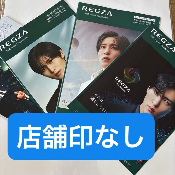 4種類!4冊セット!店舗印なし! SnowMan 目黒蓮 REGZA カタログ めめ 店印なし スノーマン レグザ パンフレット