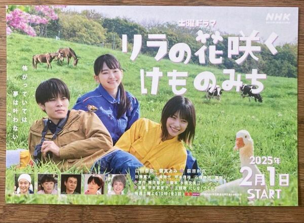 リラの花咲くけものみち ポストカード NHK ドラマ 萩原利久 山田杏奈 新品 未使用 はがき コレクション 俳優 葉書