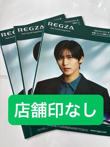 3冊セット!店印なし SnowMan 目黒蓮 REGZAカタログ 店舗印なし めめ レグザ スノーマン 非売品 3冊 パンフレット