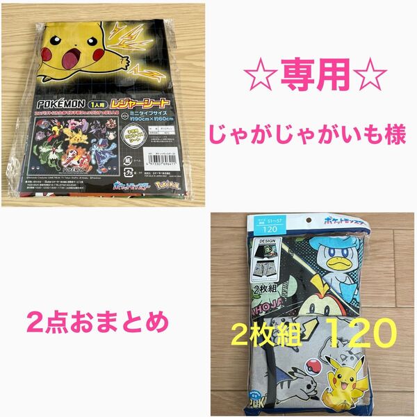 ☆専用☆ ポケモン レジャーシート キッズ用 ミニサイズ ボクサーパンツ おまとめ2点