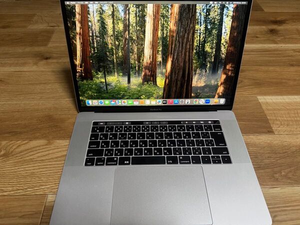 MacBook Pro 15インチ メモリ16GB SSD256GB シルバー Apple