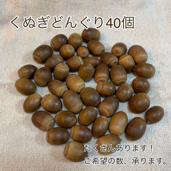くぬぎどんぐり クヌギ リース、ハンドメイドやリメイクにも たくさんあります!