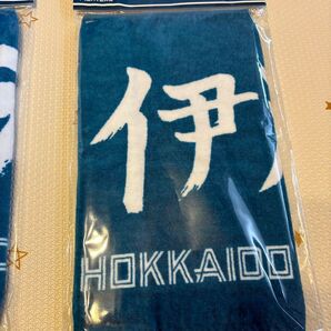ファイターズ 伊藤大海 応援タオル
