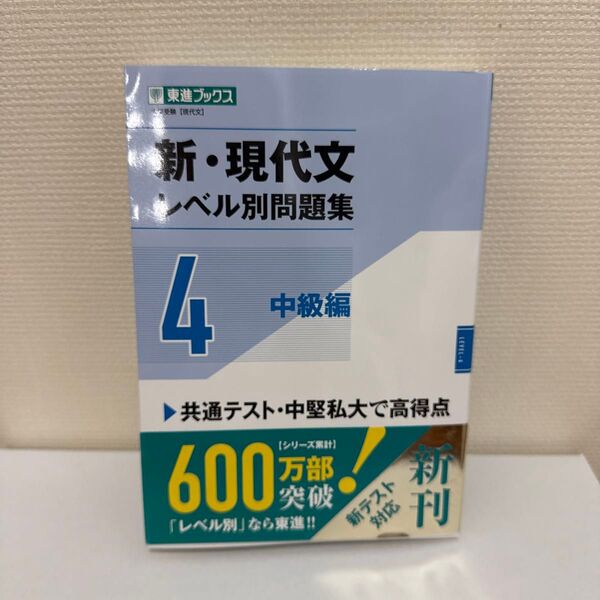 新・現代文レベル別問題集4中級編