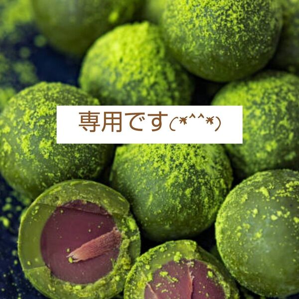 チワワちゃんのBIGトートバッグ③