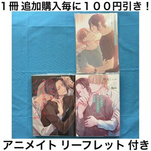 h12 ラベルド タイトロープ ノット シリーズ 緋汰しっぷ 2冊 セット まとめ売り アニメイト 特典 リーフレット BL 漫画