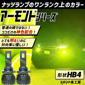 車 HB4 ライト フォグ フォグライト フォグランプ LED ライム グリーン NUTSLAMP ナッツランプ 緑 爆光 明るい