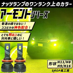 車 H11 H16 H8 H9 ライト フォグライト フォグランプ LED ライム グリーン NUTSLAMP ナッツランプ 緑