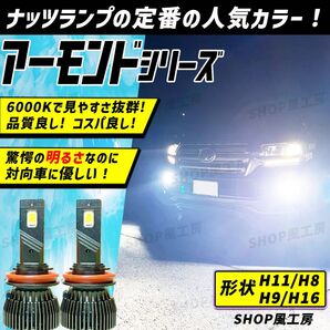 車 H11 H16 H8 H9 ライト フォグライト フォグランプ LED ホワイト NUTSLAMP ナッツランプ 白色 爆光
