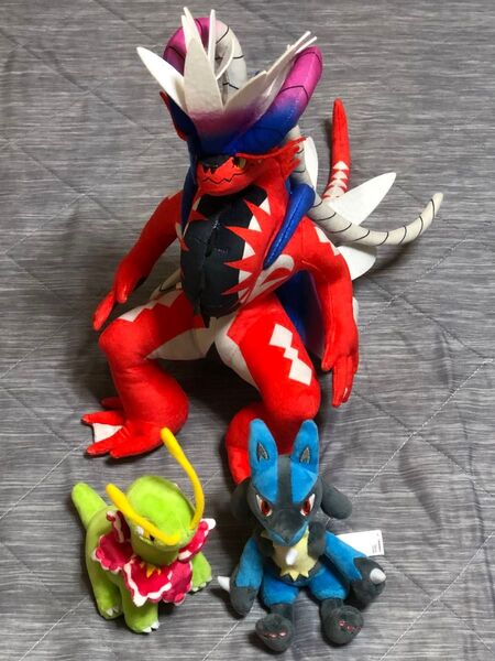 ポケモン ぬいぐるみ コライドン ポケモンセンター ぬいぐるみ メガニウム ルカリオ