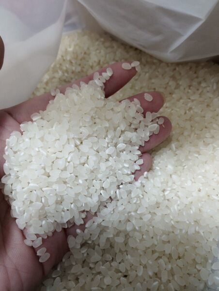 富山県産 令和6年 コシヒカリ 玄米 10キロ