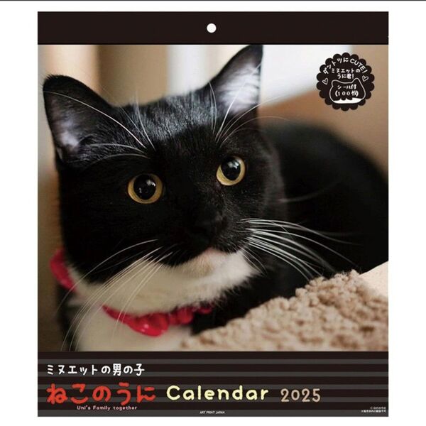 ねこのうに 壁掛け カレンダー 2025年