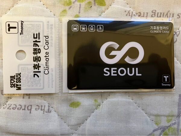 NEW デザイン 新品 韓国 気候同行カード 交通カード 地下鉄 バス 乗り放題 Climate Card