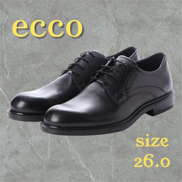 美品 ECCO VITRUS III ビジネスシューズ レザー GORE-TEX 26.0cm