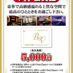 カラオケ館 VIPカード
