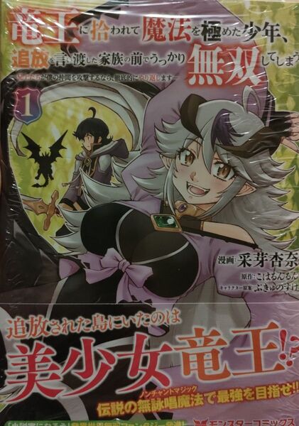 500円〜◆新品未読品◆竜王に拾われて魔法を極めた少年、追放を言い渡した家族の前でうっかり無双してしまう (1)