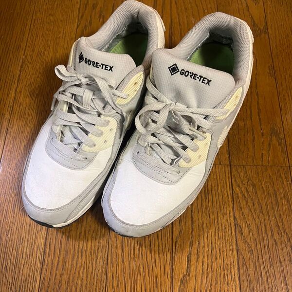 AIR MAX 90 GTX 27cm