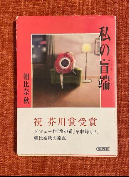 私の盲端 朝比奈秋