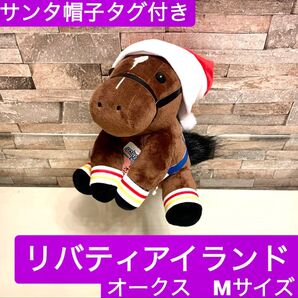 リバティアイランド アイドルホース オークス Mサイズ サンタ帽子 Xmas 2点セット 新品タグ付き