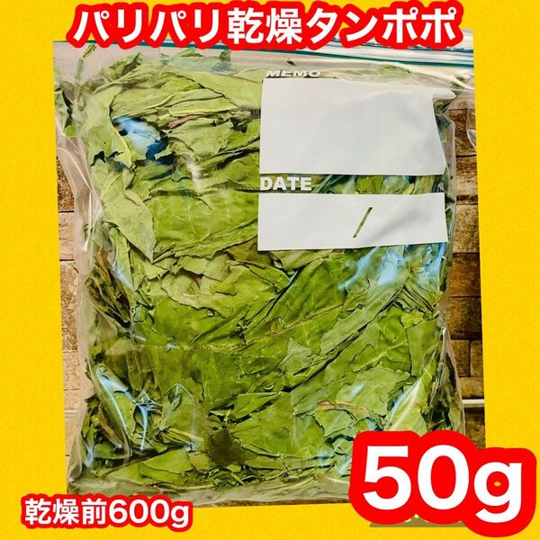 【プレゼント付】パリパリ乾燥タンポポ 50g 無農薬 小動物餌 本日完成品 C