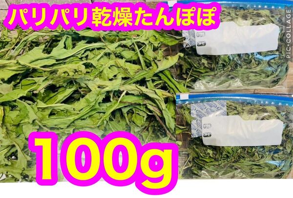 【採れたて新鮮!!】パリパリ乾燥(本日乾燥)たんぽぽ 100g 無農薬 モルモット うさぎ 小動物エサ