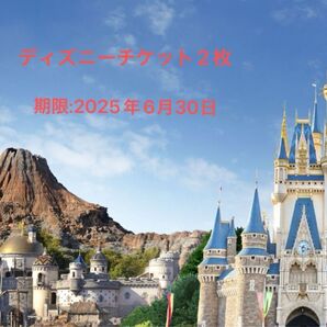 【週末限定値下げ】【未使用2枚】ディズニーチケット2枚 ディズニーランド ディズニーシー ディズニーリゾート