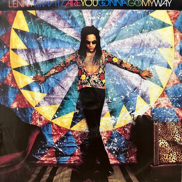 【7インチ】Lenny Kravitz / Are You Gonna Go