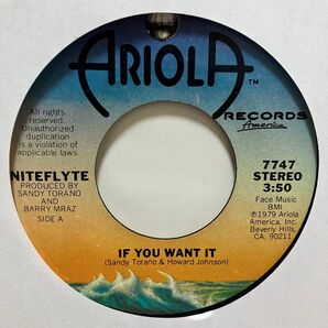 美盤【7インチ】山下達郎 / SPARKLE元ネタ!NITEFLYTE