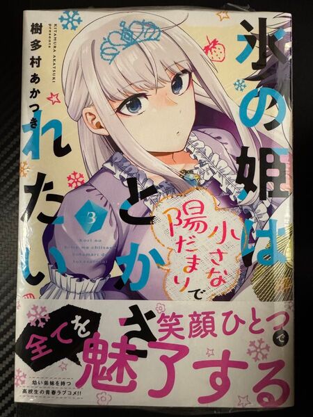 氷の姫は小さな陽だまりでとかされたい 3
