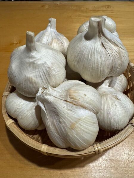 青森県産 にんにく 福地ホワイト六片 2L 1kg