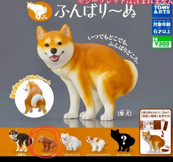 ふんばりーぬ トイプードル