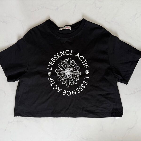 Mardi Mercredi マルディ Tシャツ