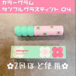 カラーグラム タンフルグラスティント (04 アドラーブルベリー)