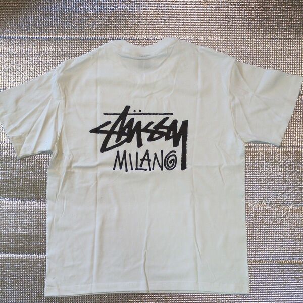 STUSSY Tシャツ