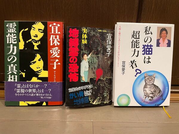 宜保愛子 私の猫は超能力者?地縛霊の恐怖 他 3冊