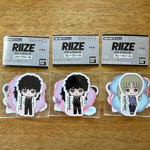 RIIZE ウォンビン ショウタロウ ガチャガチャ フレークシール ウォンタロ リズコ トニャンドク