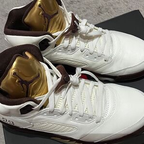 NIKE AIR jordan5 golden ticket