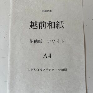 越前和紙 OA和紙 花穂紙 ホワイト A4 100枚