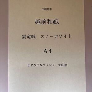 越前和紙 雲竜紙 スノーホワイト A4 100枚