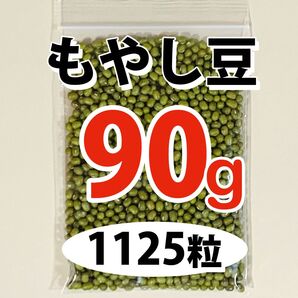 【750粒以上】もやし 緑豆 種 タネ たね 60g & ヘアゴム