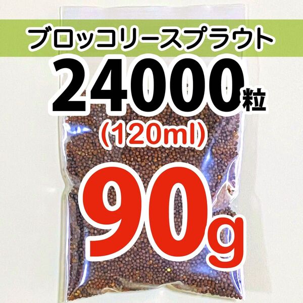 【24000粒】ブロッコリースプラウト 種 タネ たね 120ml 90g &ヘアゴム