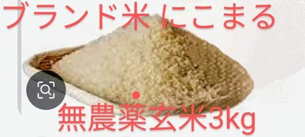 物価高騰応援、期間延長値下げ!4000円 令和6年度米 にこまる3kg 無農薬 香り高く甘い玄米、精米いずれかを御指定くたさい。