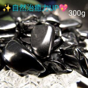 300g★特選一石★希少レア☆奇跡の癒しの石【健康美容の石☆良質シュンガイト】☆