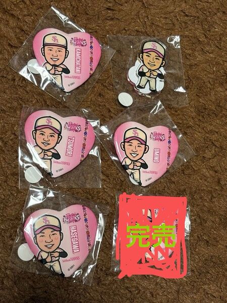 津森宥紀投手 長谷川投手 海野選手 上茶谷投手 谷川原選手 ピンクフルデー 缶バッジ アクリルスタンド
