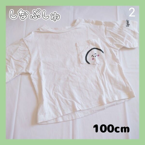 ②しなぷしゅ Tシャツ 100cm 半袖