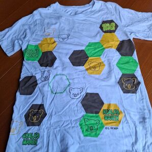 コアラのマーチ Tシャツ メンズ M