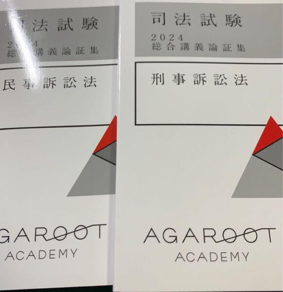 アガルート 論証集2024 民事訴訟法 刑事訴訟法