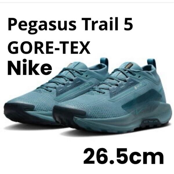 ペガサス トレイル 5 ゴア-テックス Pegasus Trail 5 GORE-TEX 【新品】マラソン ジョギング